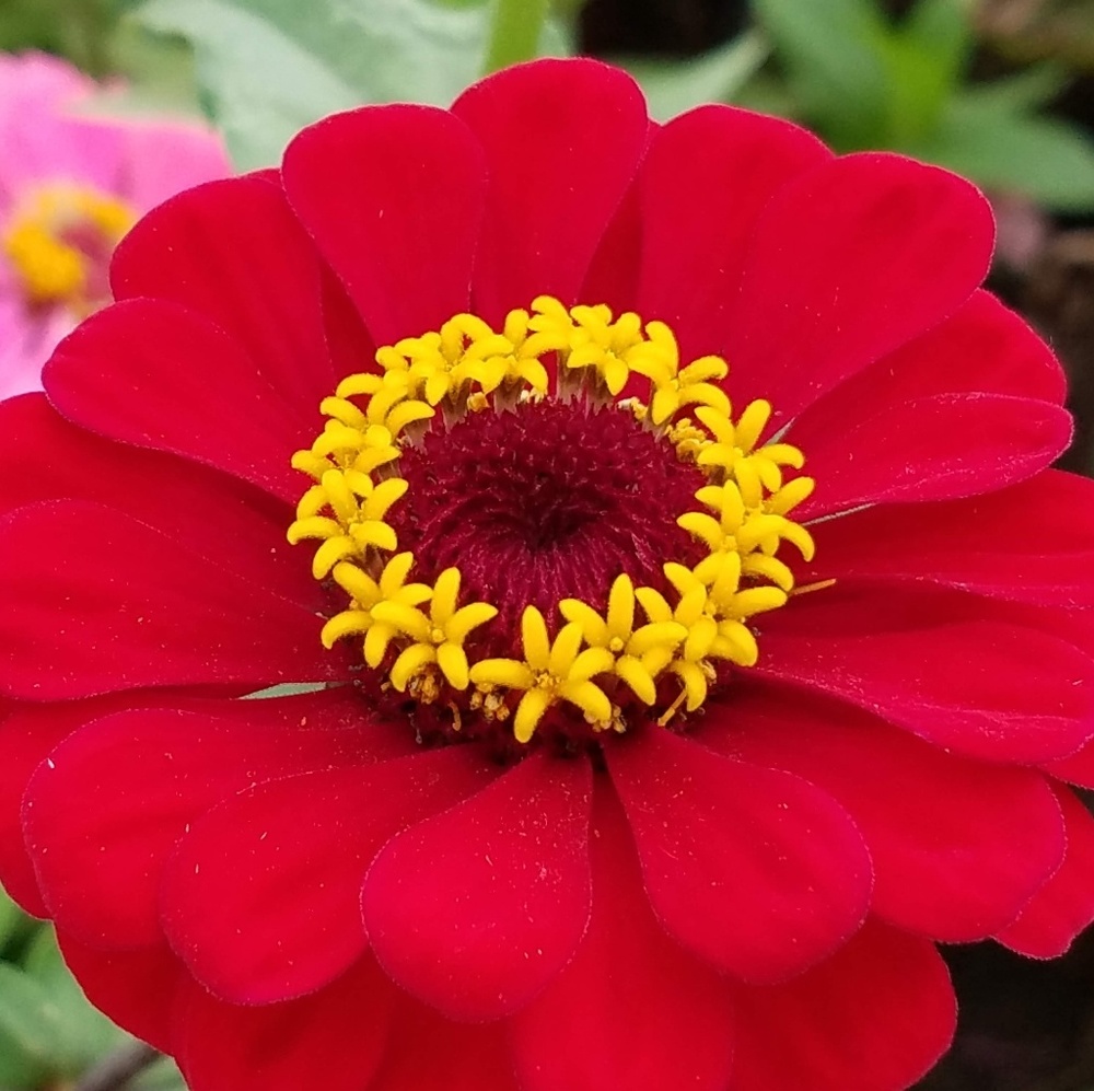 Meet your Posher, Martha